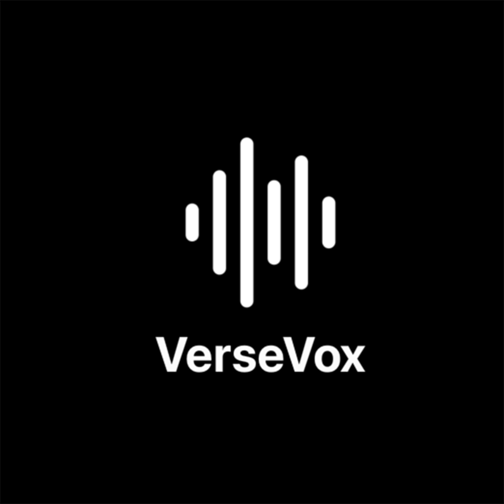 VV Logo